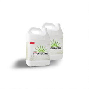 Two 5-liter containers of Hydroamino Premium Bloom plant nutrient with stylish label design.