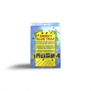 Insect Glue Trap box with 10 traps included, designed for outdoor use to attract and trap various flying insects.
