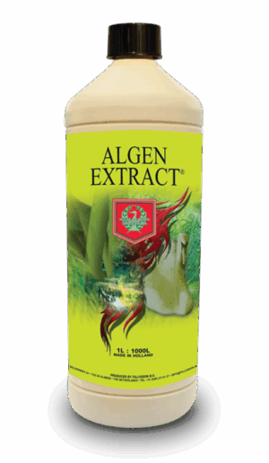 Algen Extract bottle with vibrant green label, featuring natural imagery and text indicating 1L capacity.
