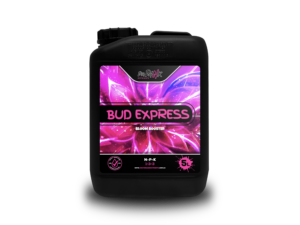 Black container with Bud Express Bloom Booster label, vibrant pink design, 5L. Ideal for enhancing plant growth.