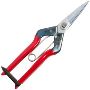 Chikamasa T-600 - Harvest Scissors